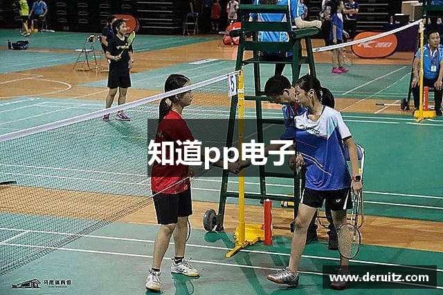 知道pp电子